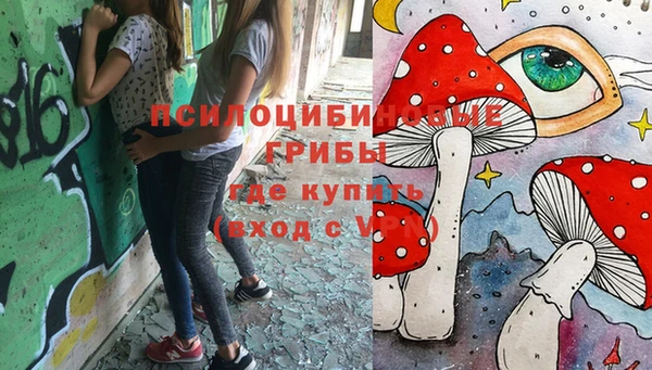 твердый Семикаракорск