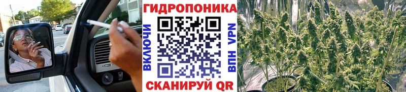Купить закладки  Миньяр  Каннабис индика 